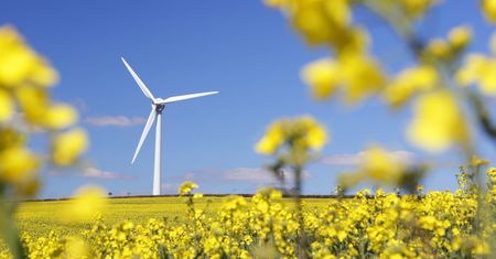 Co wiesz o zielonej energii? Sprawdź się w krzyżówce
