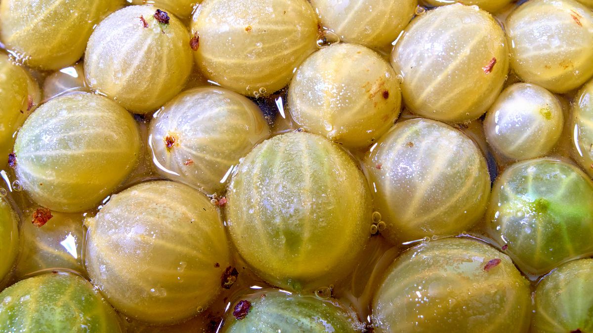 Ten owoc to skarb polskich ogródków