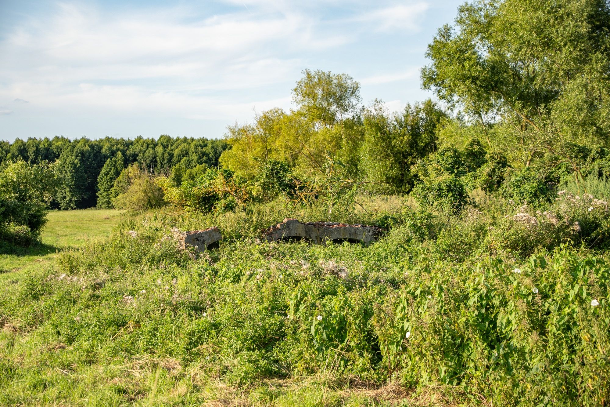 Żuławka Mała