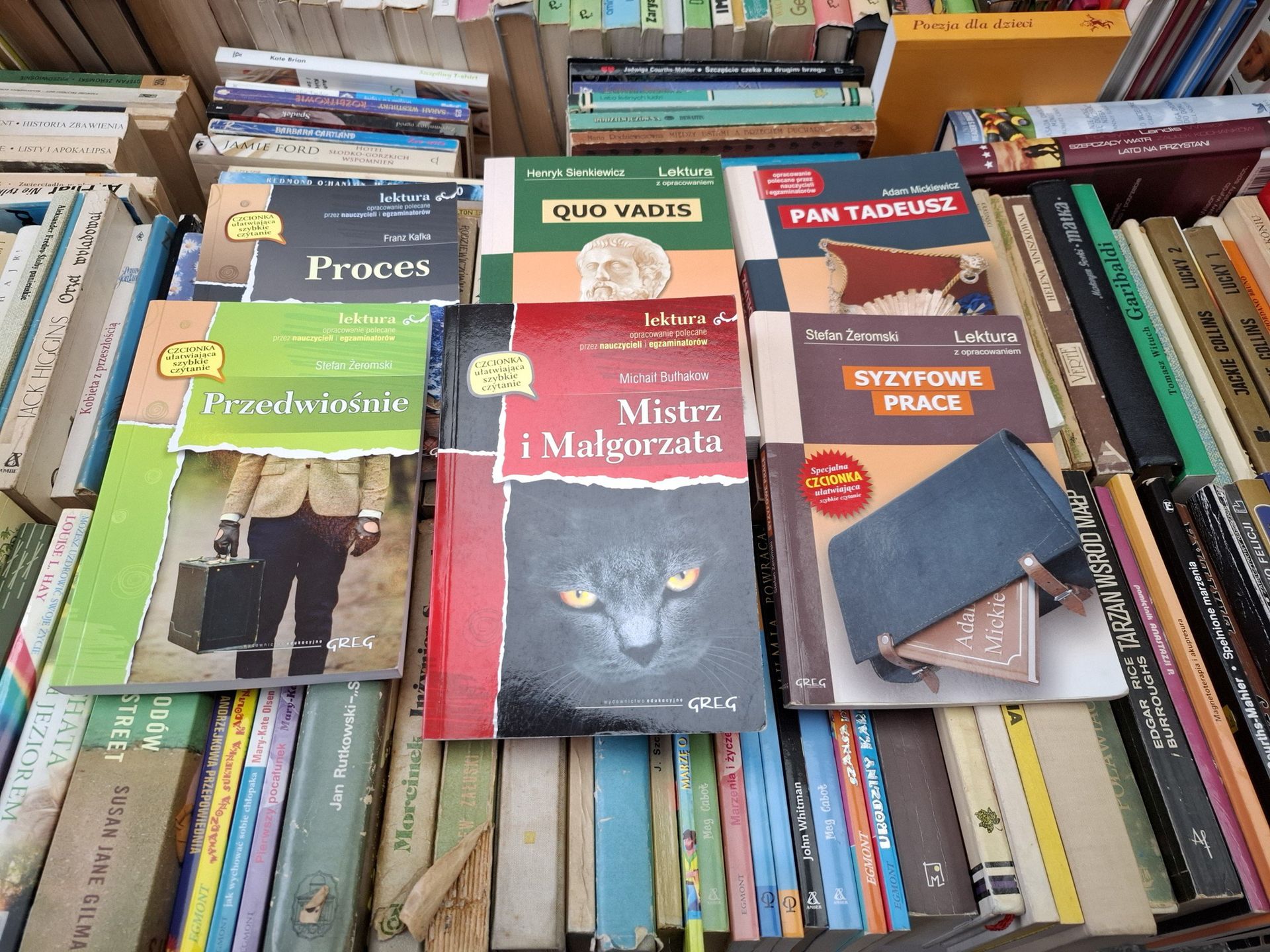 Wielki kiermasz książki używanej w Stacja Dobro