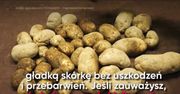 Czego nie wiesz o ziemniakach (WIDEO)
