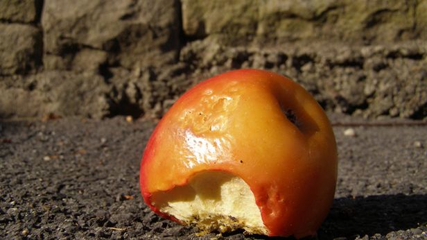 605 tys. dol. za spotkanie z szefem Apple'a. Z kim z branży IT można pogadać taniej? 1