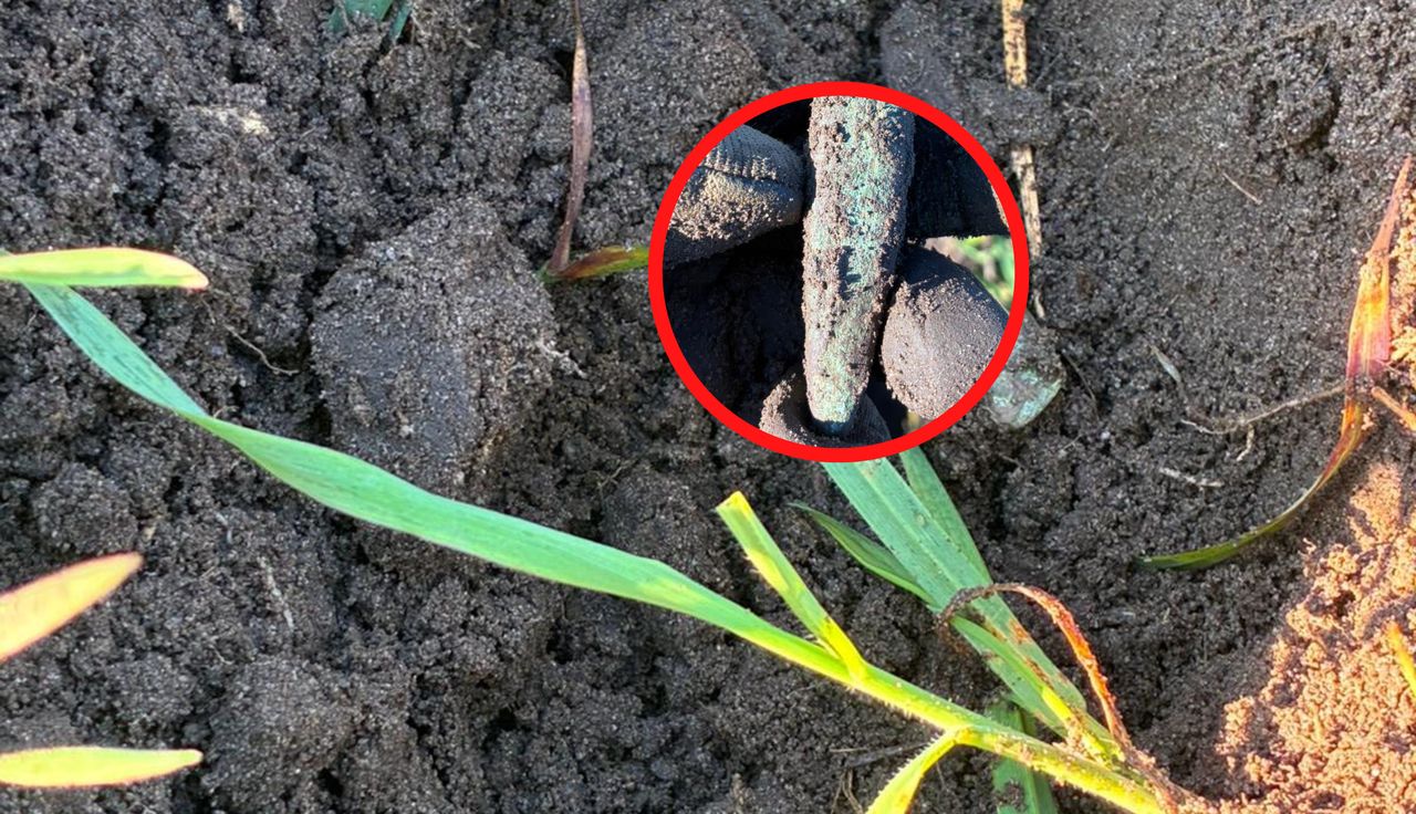 Sensacyjne odkrycie. Szedł z detektorem. I nagle coś takiego