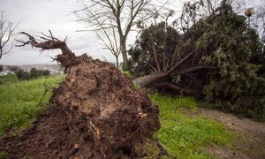 Orkan Claudia uderzył w Portugalię. Chaos w wielu regionach