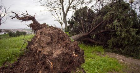 Orkan Claudia uderzył w Portugalię. Chaos w wielu regionach