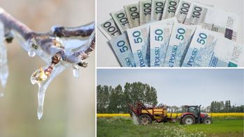 Dotacje na walkę z przymrozkami. Rolnicy mogą dostać nawet 200 tys. zł