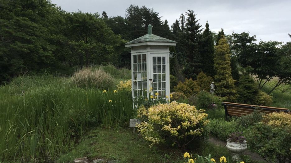 Projekt Katarzyny Boni. "Telefon na wietrze" powstaje po to, by ludzie, którzy doznali straty, a często nie mieli szans na pożegnanie się z umierającą bliską  osobą, mogli odbyć tę ważną ostatnią rozmowę (zrzutka.pl)