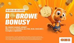 W reklamach OBI wraca brand hero marki - bóbr