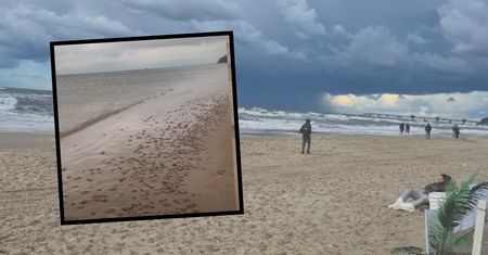 "Tysiące" na plaży. Niesie się nagranie z Międzyzdrojów
