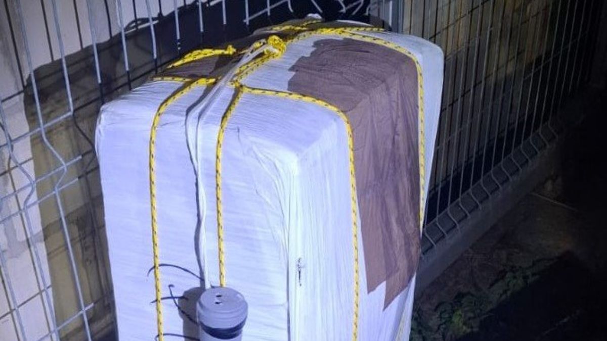 Taki pakunek przyleciał do Polski.