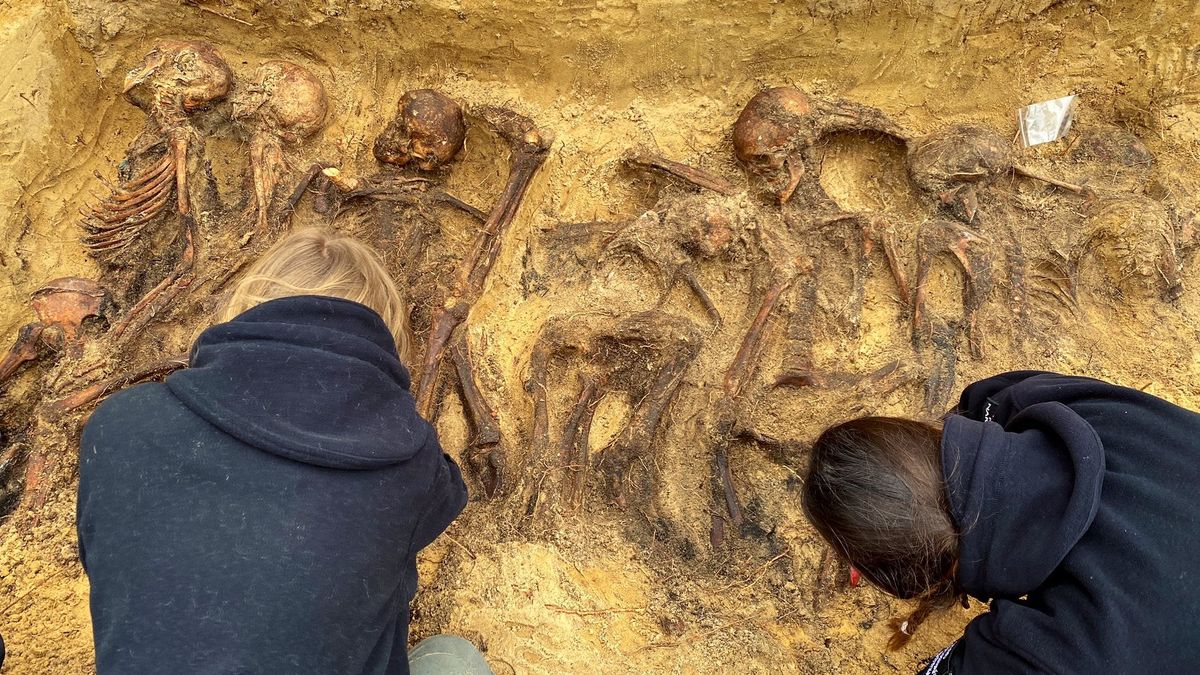 Pod Warszawą odnaleziono masowy grób