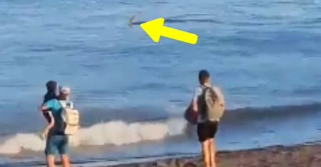 Krzyki na plaży w Hiszpanii. Ludzie natychmiast uciekli
