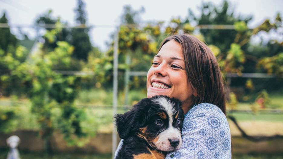 Psy i koty w schroniskach TOZ czekają na nowe, kochające domy