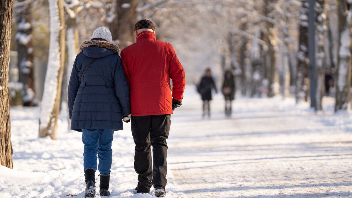 Nowe legitymacje emeryta. Będą bezpłatne