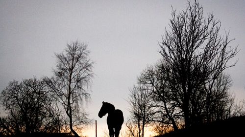 Co z tym szkłem - czyli jak używać obiektywu? cz. II 1