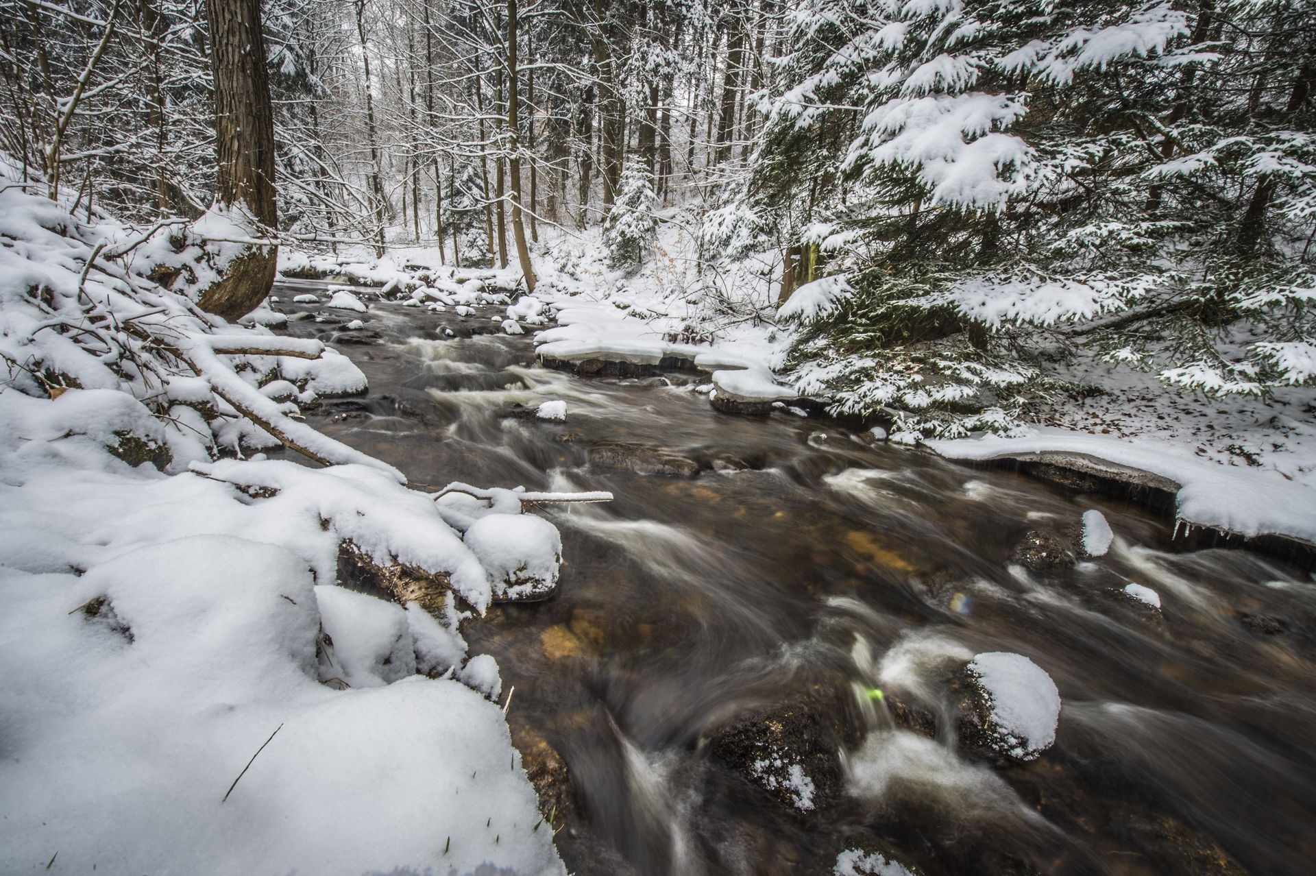 wiadomości,aktualności,WP Wiadomości Czechy pokryte śniegiem. Rekordowe opady