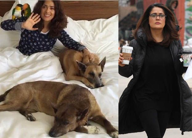 Salma Hayek: "Znajdę człowieka, który zastrzelił mojego psa!"