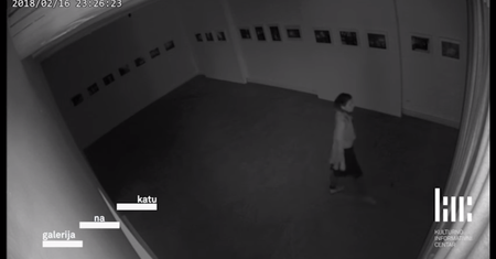 Zamiast zgłosić złodziejkę na policję, chcą by zorganizowała wystawę fotograficzną