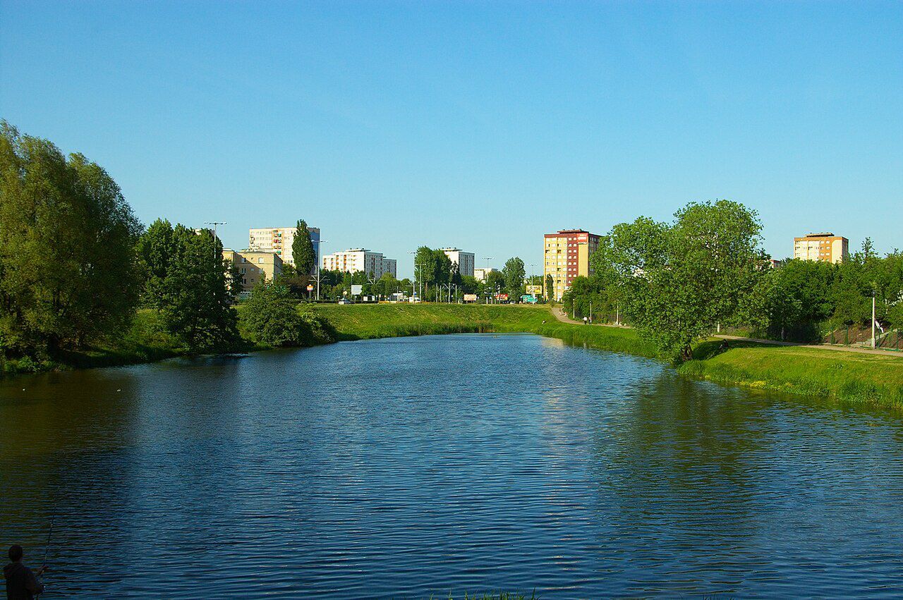 Staw Kaszownik obecnie
