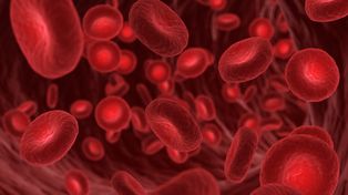 Pilnie potrzebna krew dla Filipa Kończaka po tragicznym wypadku