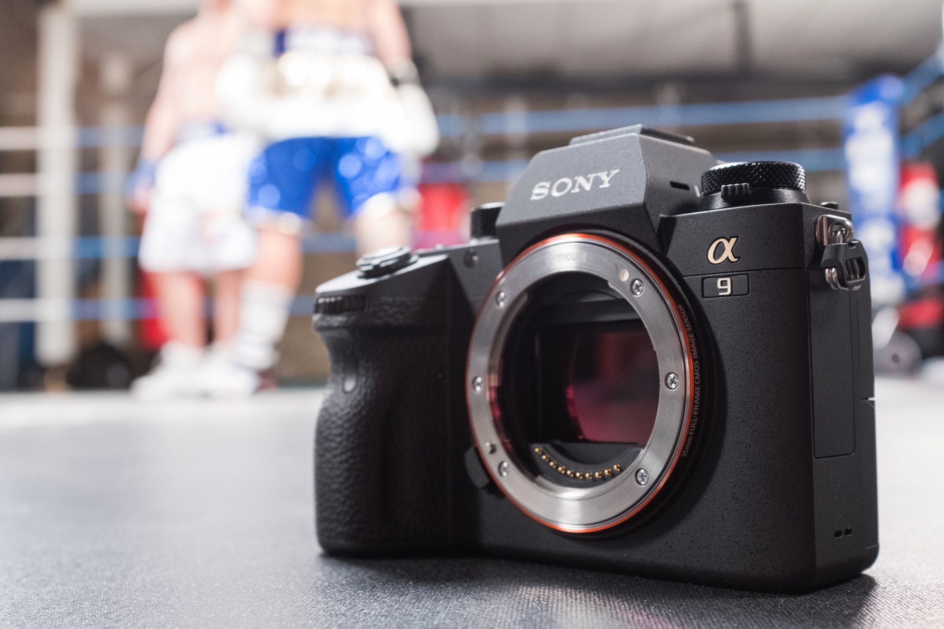 Sony A9 - pierwsze wrażenia po premierze. Czy bezlusterkowiec dorówna profesjonalnym lustrzankom? 3