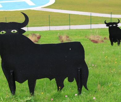 "Wioska gniewu". O polskiej wsi usłyszał cały świat