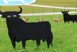 "Wioska gniewu". O polskiej wsi usłyszał cały świat