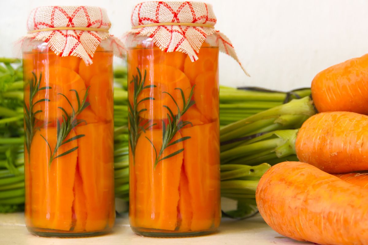 Fermented carrot - Delicacies