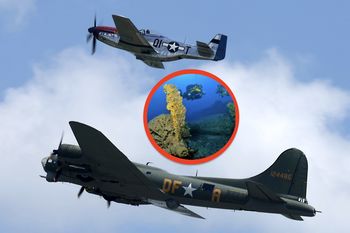 Bombowiec B-17 na dnie Bałtyku. Coraz więcej wiadomo o załodze