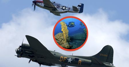 Bombowiec B-17 na dnie Bałtyku. Coraz więcej wiadomo o załodze
