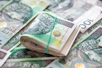 Jest luka, by nie płacić alimentów. Spór o status komorników utrudnia ściganie