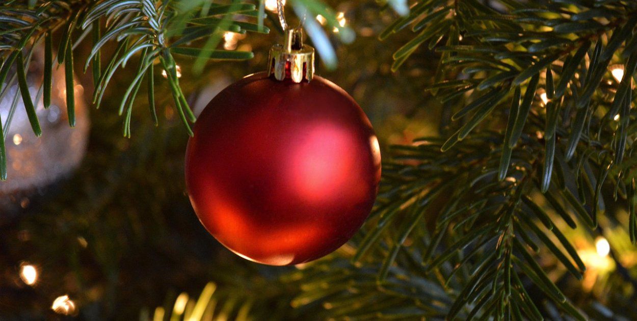 Pułtusk: Świąteczny cud. MOPS rozda choinki potrzebującym