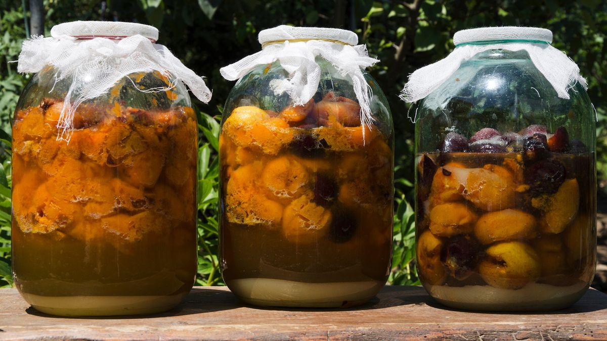 Jakie właściwości ma nalewka śliwkowa?