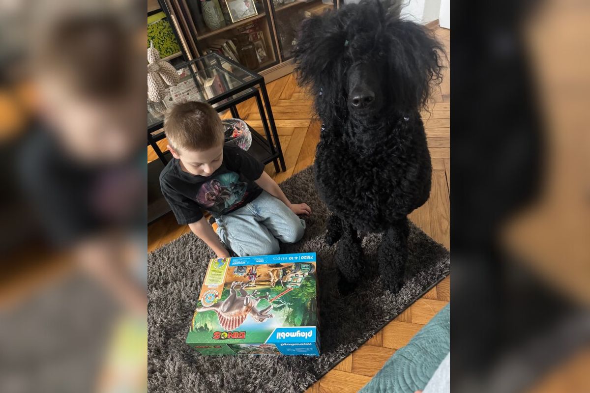 Playmobil &quot;Dinos&quot; gwarantuje zabawę dla całej rodziny