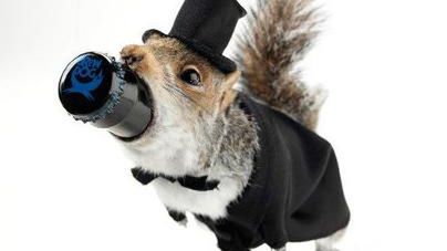 Już nie zmieszczę kolejnego 55-cio procentowego piwa [wideo] 1