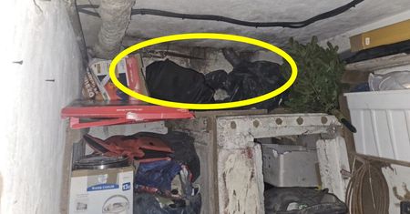 Weszli do piwnicy. I tylko zajrzeli pod sufit. Wydało się