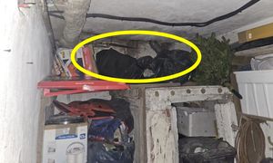 Weszli do piwnicy. I tylko zajrzeli pod sufit. Wydało się