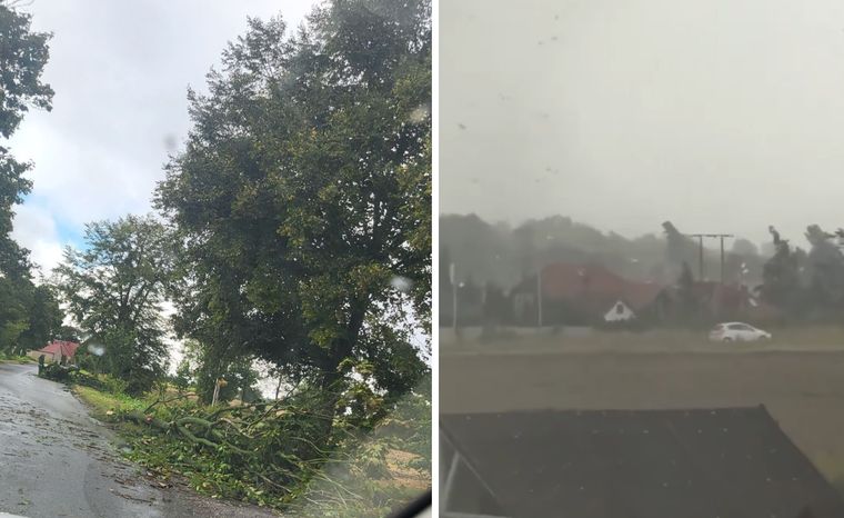 wiadomości,aktualności,WP Wiadomości W Wielkopolsce przeszła trąba powietrzna. Na wyspie utknęły dzieci