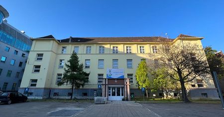 Nowa przestrzeń dla wyciszenia i terapii – w Poznaniu otwarto rehabilitacyjną salę "Leśna Polana"