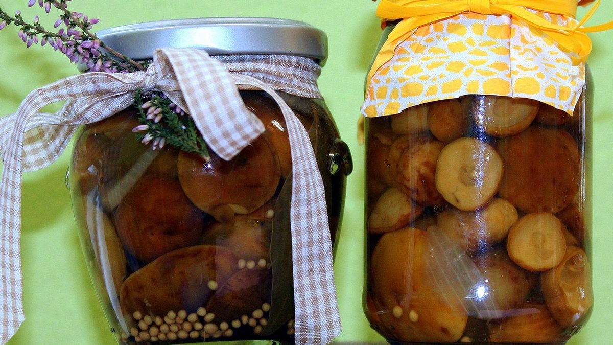 Grzyby marynowane.
