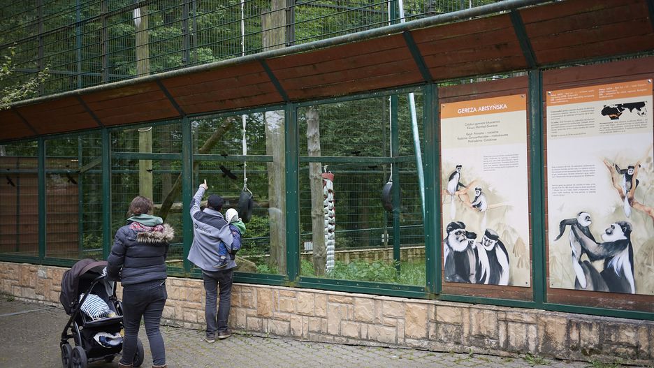 Skandal w polskim zoo. "Molestował"