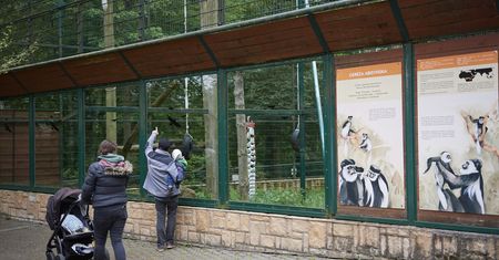 Szokująca sprawa w Gdańsku. Seksskandal w zoo