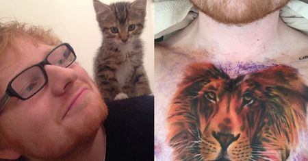 Ed Sheeran pochwalił się nowym tatuażem...