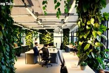 WPP Media spotem promuje nowy projekt