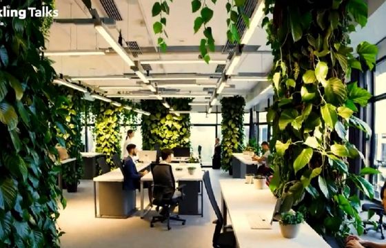 WPP Media spotem z Krystyną Czubówną promuje serię Sparkling Talks