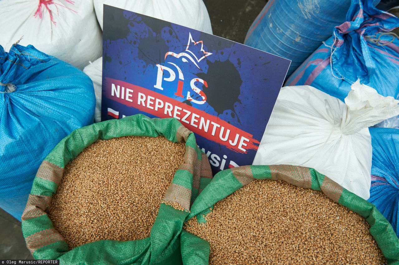 Kryzys na rynku zbóż. "Będziemy po nim sprzątać przez kilka lat"