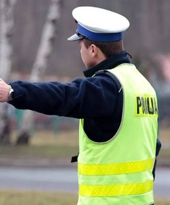 Wypadek pod Krosnem Odrzańskim. BMW uderzyło w jelenia. Ranne dzieci. W aucie było za dużo osób