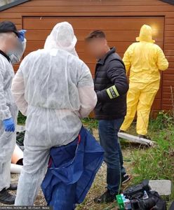 Zabójstwo 11-letniego Sebastiana. 41-latek porwał wcześniej już inne dziecko