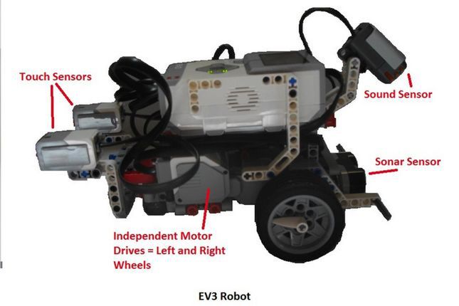 Robot sterowany mózgiem nicienia. Cyfrowe życie z klocków Lego 3