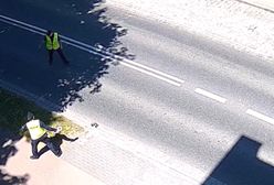 Mama-kaczka z policyjną obstawą w Słupsku [WIDEO]